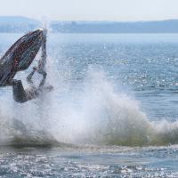 jet-ski-photo-10208